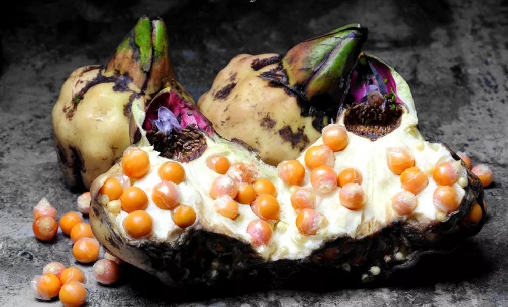 一碗糖水鸡头米,就是苏州人的秋_com