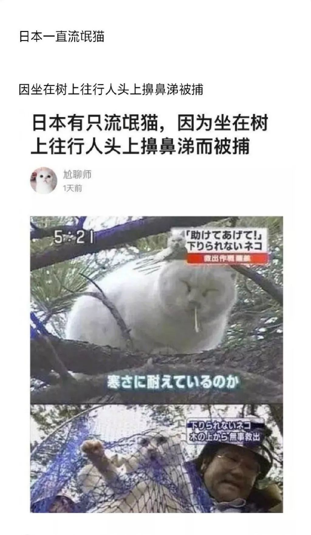 2019年度沙雕新闻大赏,我感觉我的智商被侮辱了哈哈哈哈哈哈