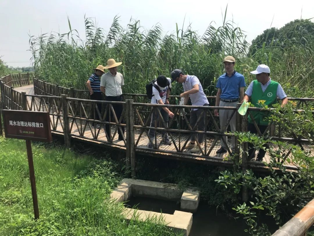 随后,施赟一行实地查看了下渚湖街道和睦村,上杨村与新市镇宋市村九亩