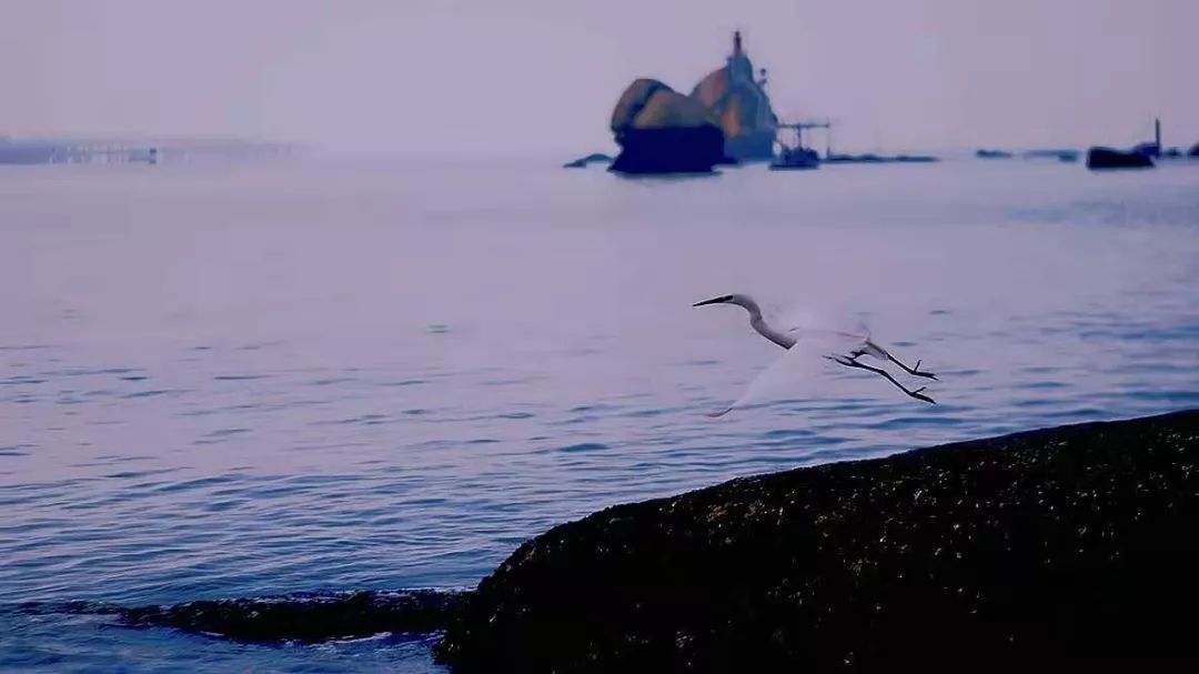 迷人的云 听得见海的声音苍老的礁石想念着夭亡的春季鼓浪屿的海琴岛1