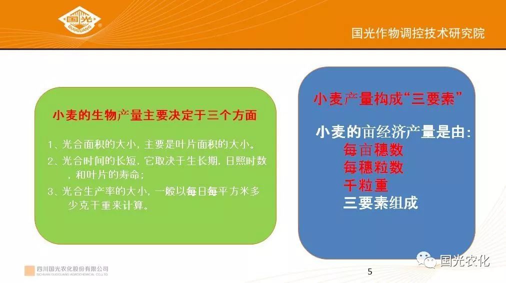 作物增产方案