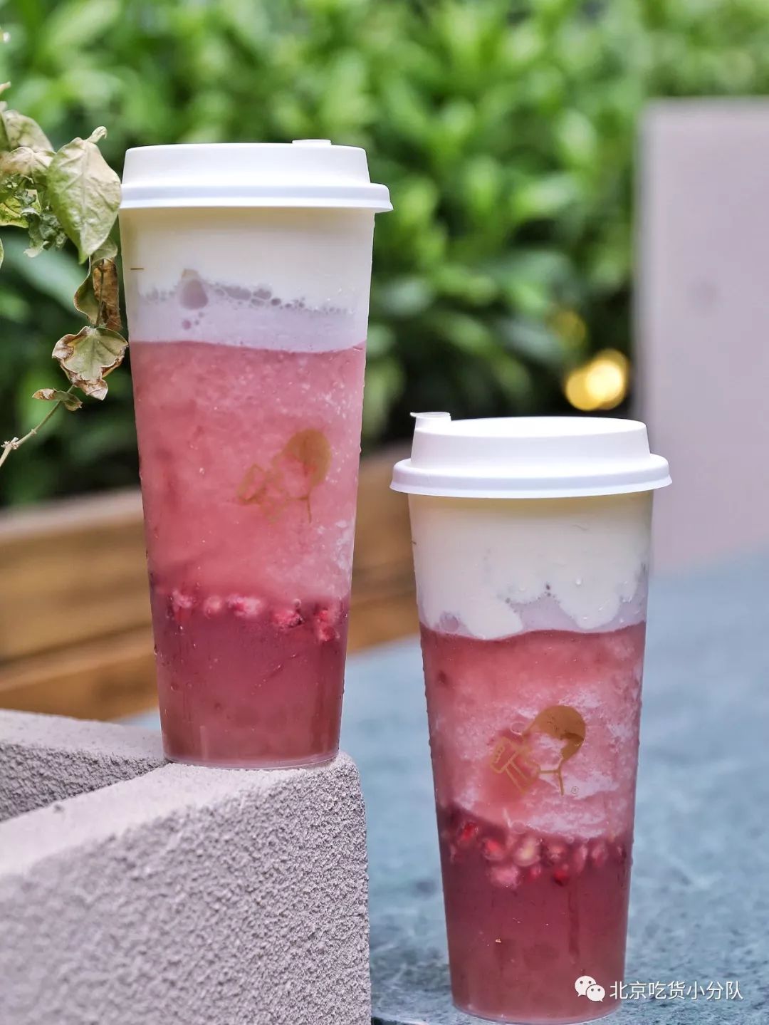 巨型养乐多来了去喜茶才能喝