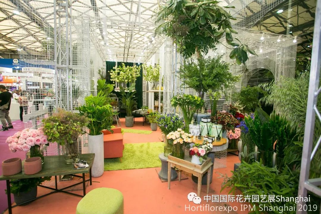 家庭园艺家庭不同房间的花卉摆放