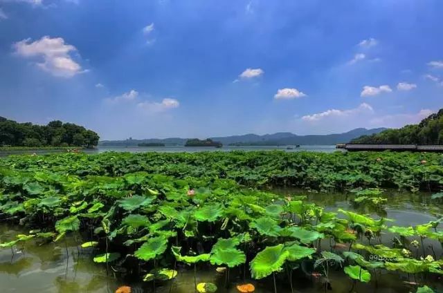 高峰時每天近7萬遊客義烏這個網紅村又一新景點即將開放