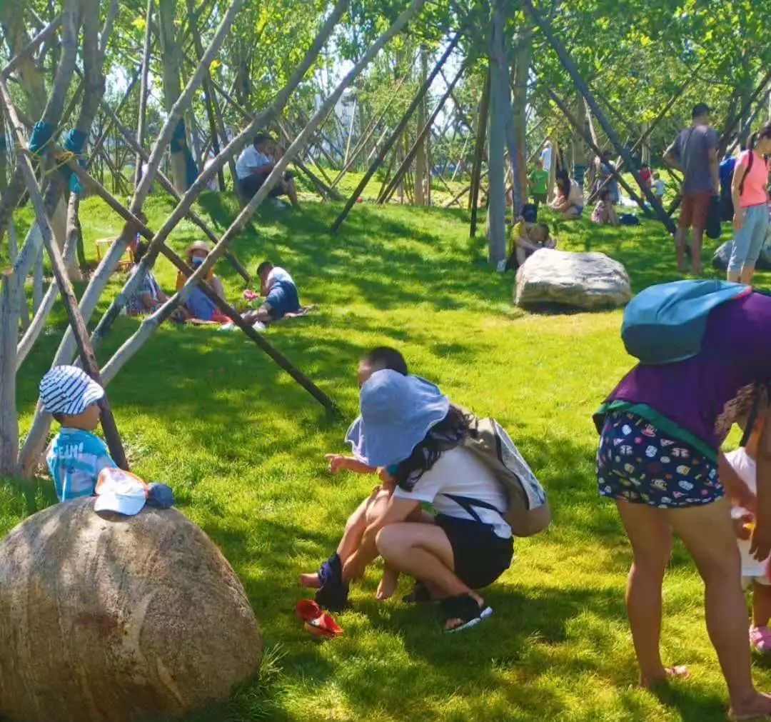 踐踏草坪,在草坪上休息 ↑私自在樹木上搭建橫幅 ↑隨意攀爬景觀設施