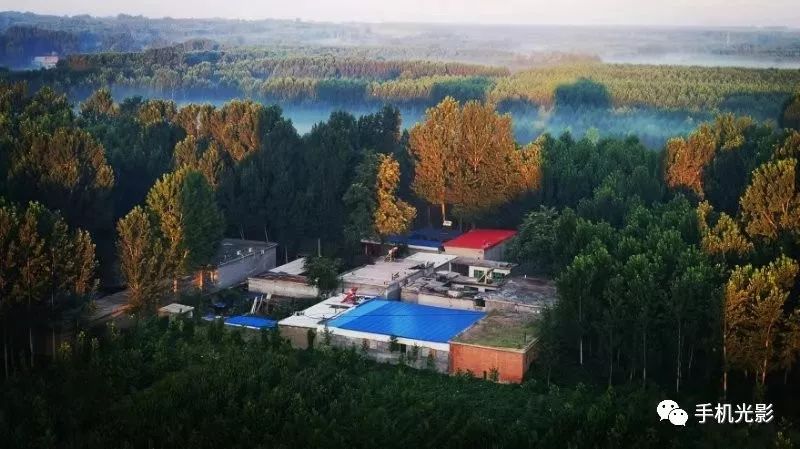 夏日激情专辑十一