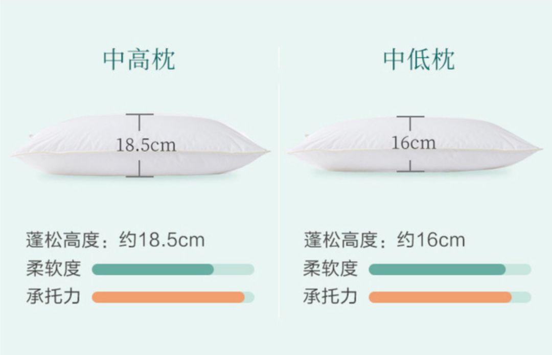 好物丹麦皇室都在用的贵枕头今天买一点也不肉痛