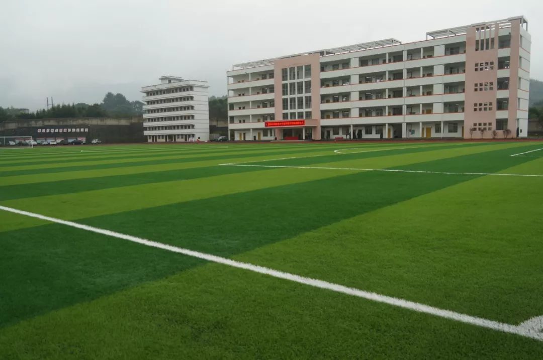 文镇长指出,红旗中学作为灌阳镇培养人才的摇篮,要继续肩负起教书育人