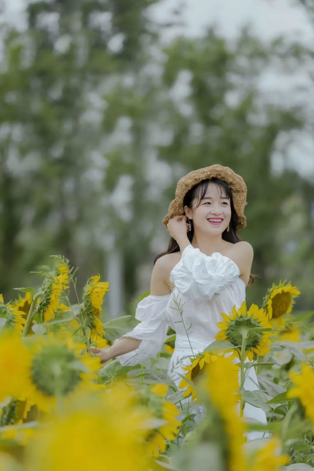 新津千亩葵花海美丽绽放再不去就只能等明年咯