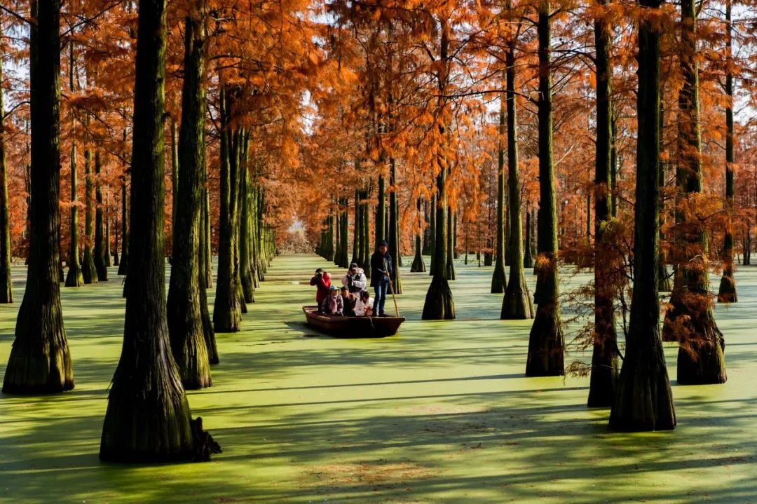 博雅研究丨游憩空间规划和管理(下)