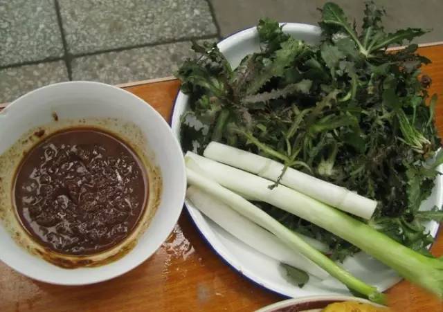 苦菜山东人最喜欢吃的一种野菜,在众多的野菜中,苦菜跟荠菜是最受欢迎
