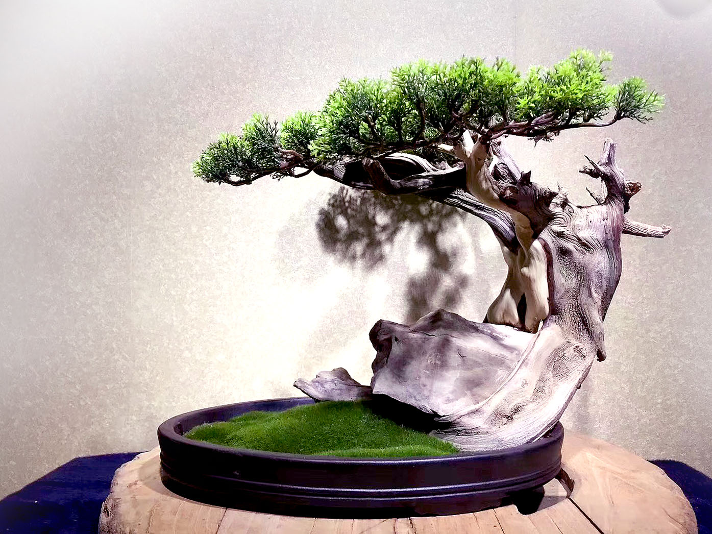 根雕盆景看看有没欲望