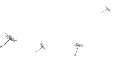 479_239gif 动态图 动图