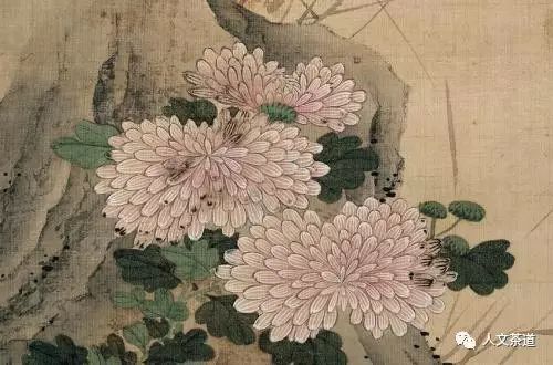 茶人草木志陈洪绶的菊花酒