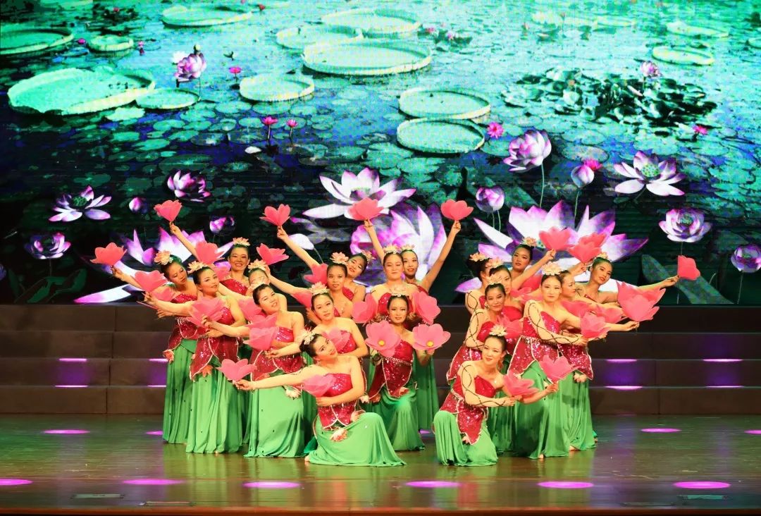 歌伴舞《在希望的田野上》7070晨曦细雨育桃李,一片师恩润我心.