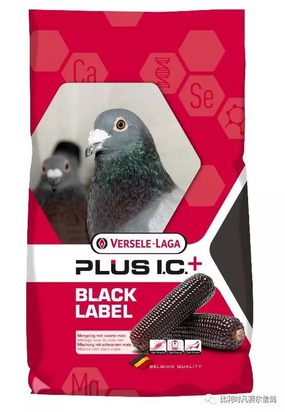 赛鸽竞飞利器凡赛尔冠军低蛋白鸽粮gerryplusic