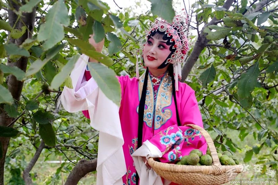 袁丫丫再次走进田间地头为清水核桃代言