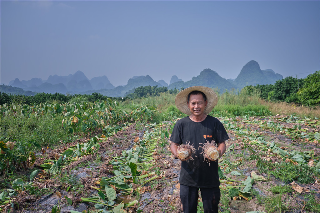 乾隆都崩溃的假荔浦芋头骗不了盒区用户