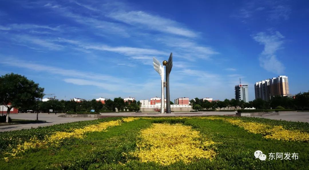 做足绿色文章 描绘生态画卷_东阿县