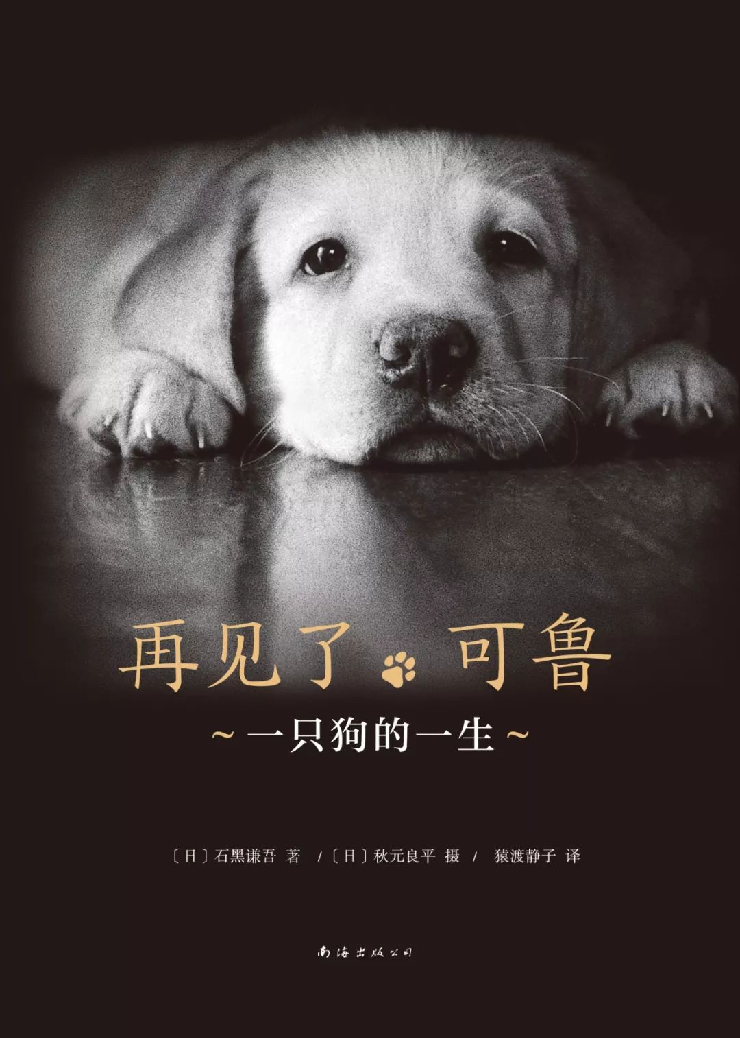 九月丹枫迎秋,这8本书陪你步入校园和职场,找到自己的方向!