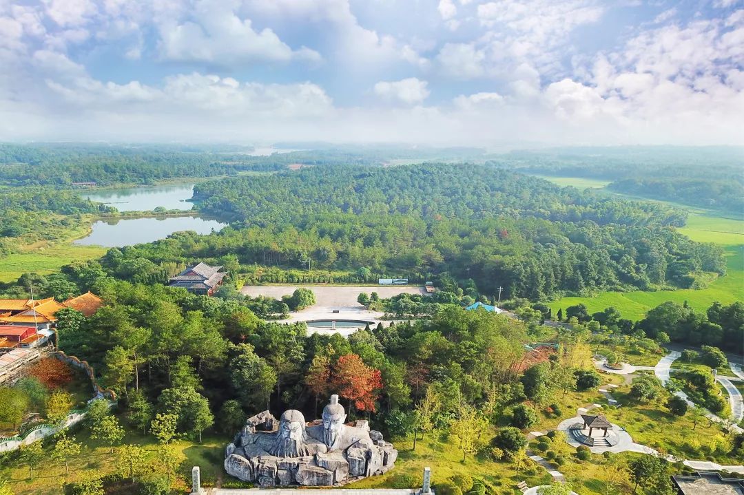 直播丨乡约江西省奉新县,猕猴桃之乡!(文中有福利)