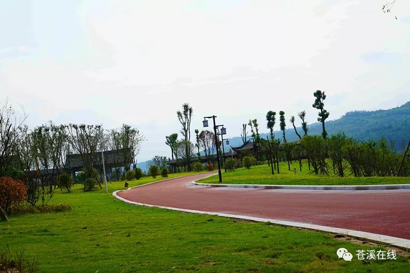 视频曝光苍溪首个湿地公园梨仙湖最新进展来了你想知道的都在这里