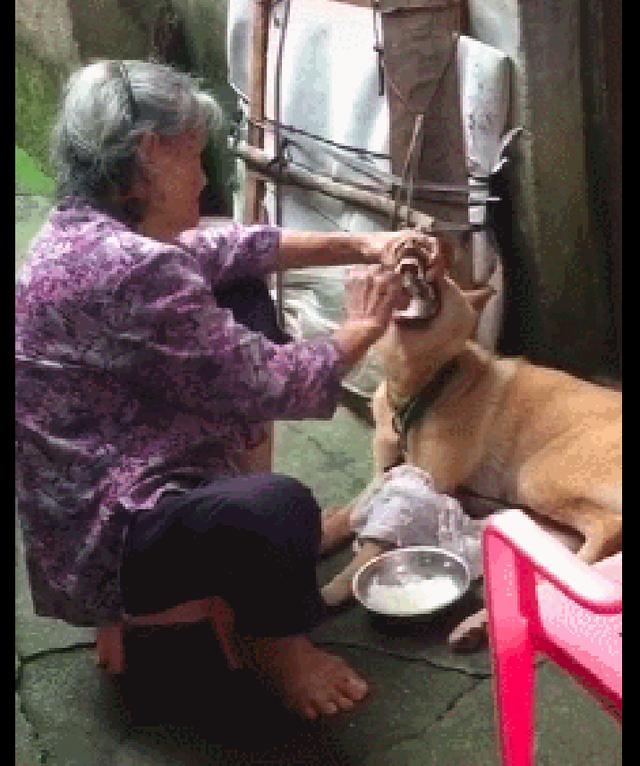 强行喂吃的表情包图片