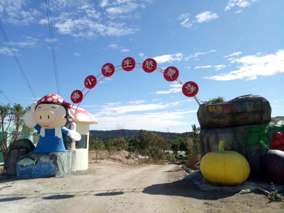 奇遇大帽山在厦门还有这么好玩的地方