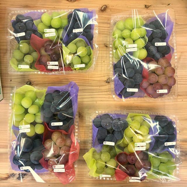 欣赏日本的葡萄包装网友不知道何时才能有动力做到如此精致