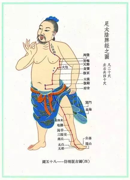养护脾经---敲打脾经的妙法_脾脏