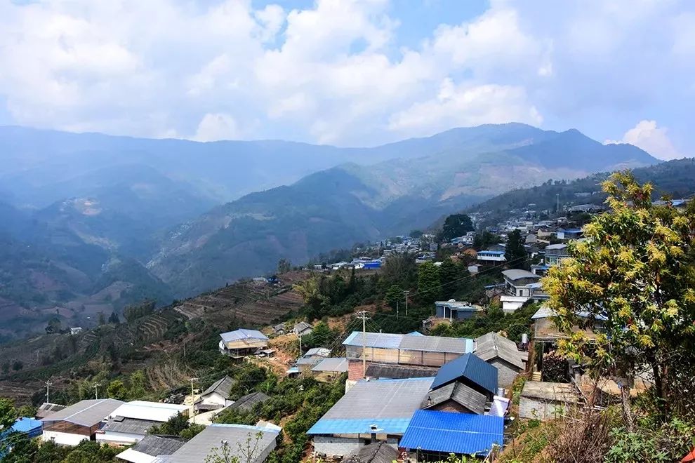 普洱茶从入门到精通带你走近勐库茶区懂过篇