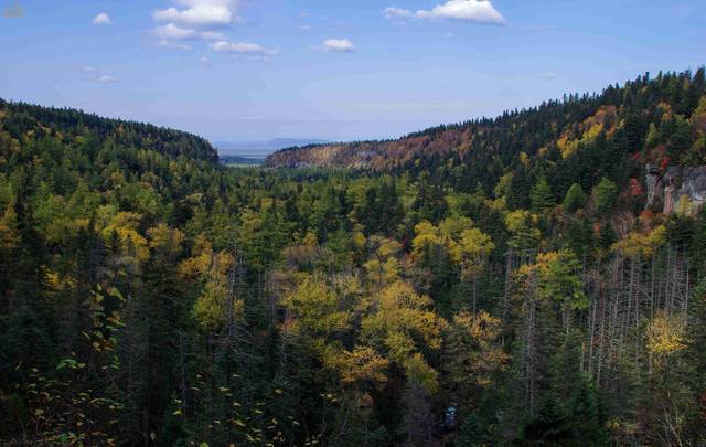 地下森林又叫"谷底森林", 是长白山北景区海拔最低的景点,它是长白山