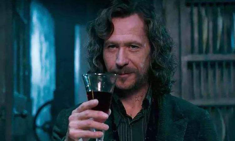 原创哈利波特电影节偶遇小天狼星网友大呼认不出