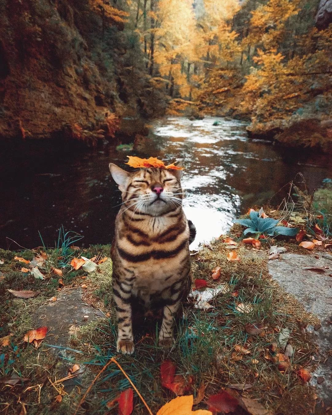 无论是荒漠戈壁还是密林草地,只要suki在,所有的风景都会变得明朗