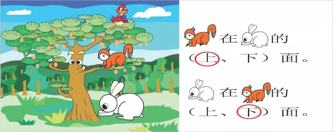 人教版一年级上册位置上下前后分辨重点课后习题孩子学习重点都在这