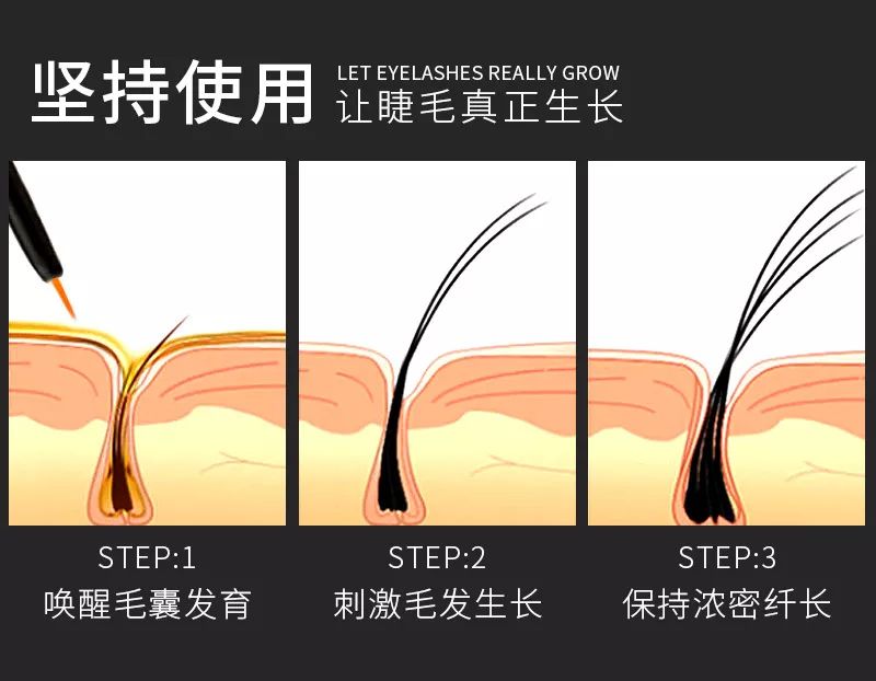 延长睫毛的生长期→刺激休眠期的睫毛→让它从毛囊中长出来.