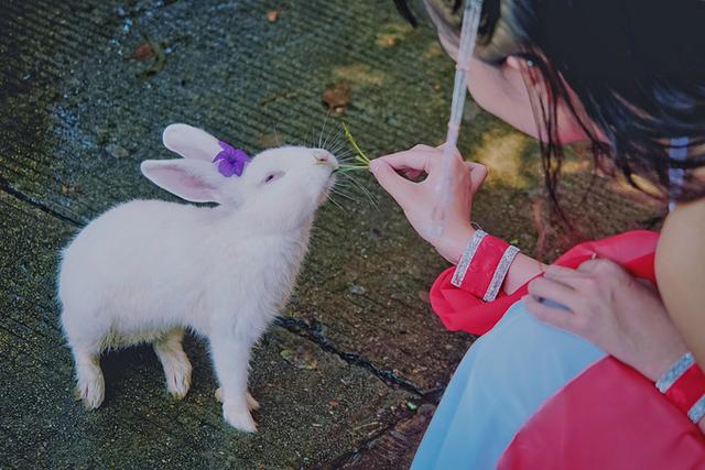 东莞观音山请嫦娥助阵中秋佳节全家出行好去处