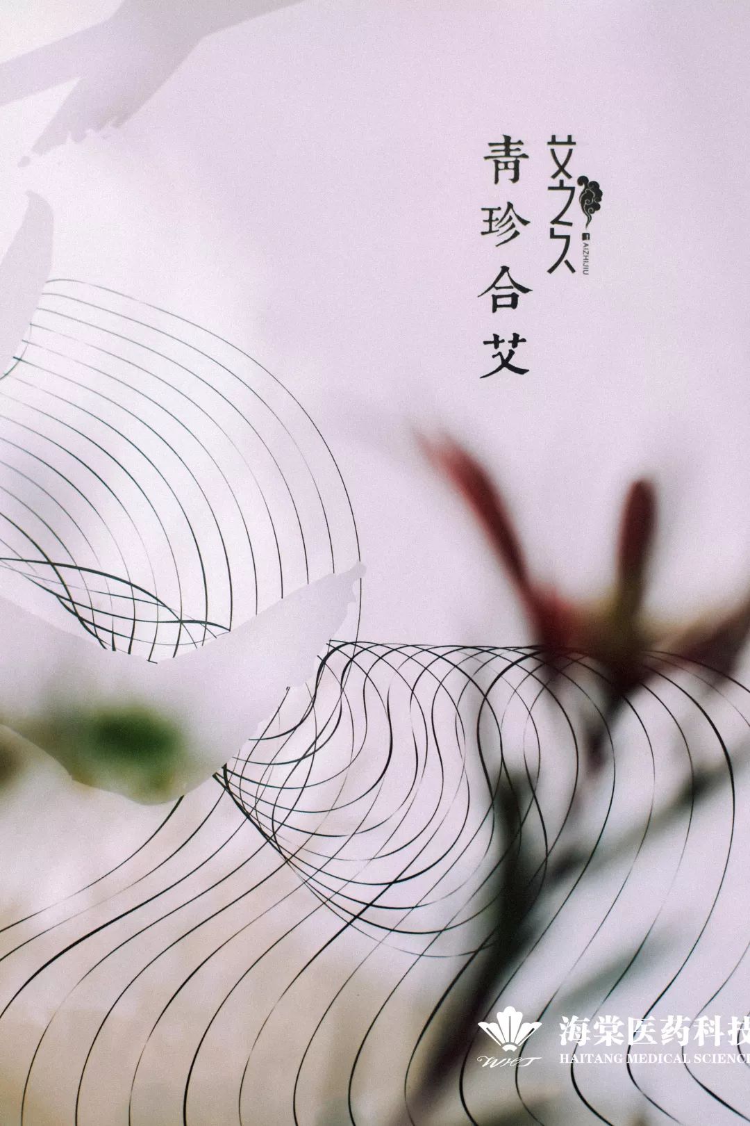 专注经期循养海棠艾灸项目青珍合艾闪耀美博会