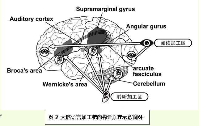 【教师节】写给外语教师(长文)