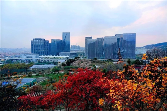 邀您投票选出"人气王" 崂山中韩街道征文比赛优秀作品出炉