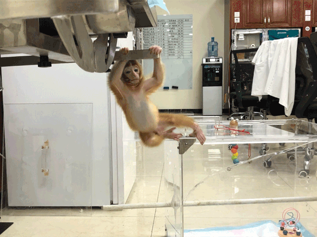 640_480gif 动态图 动图