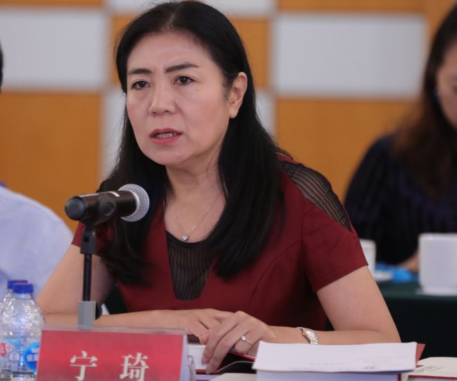 北京大学 宁琦教授宁琦教授表示《民族复兴的强音——新中国外语教育