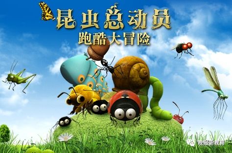 活动集结号青花瓷精美餐盘之纸上谈心七种武器之独家观察昆虫记新疆爱