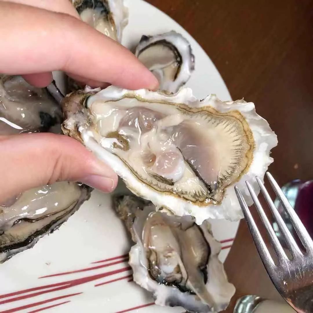 半自助午餐暗藏乾坤,地中海风周日brunch畅吃生蚝,鹅肝太过瘾!