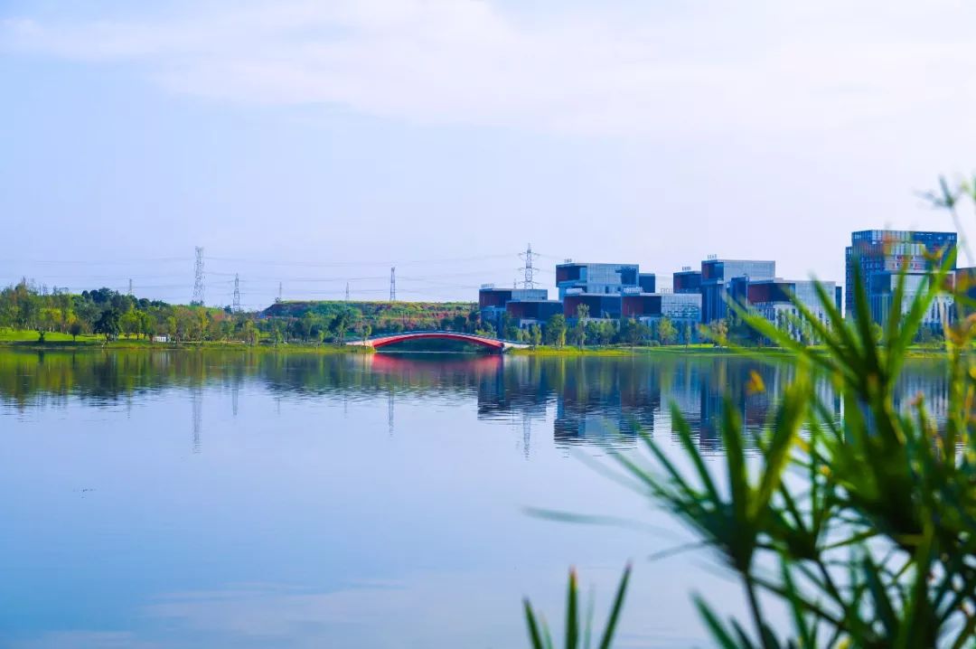 约14000亩南天府公园来了成都一路向南改变天府南