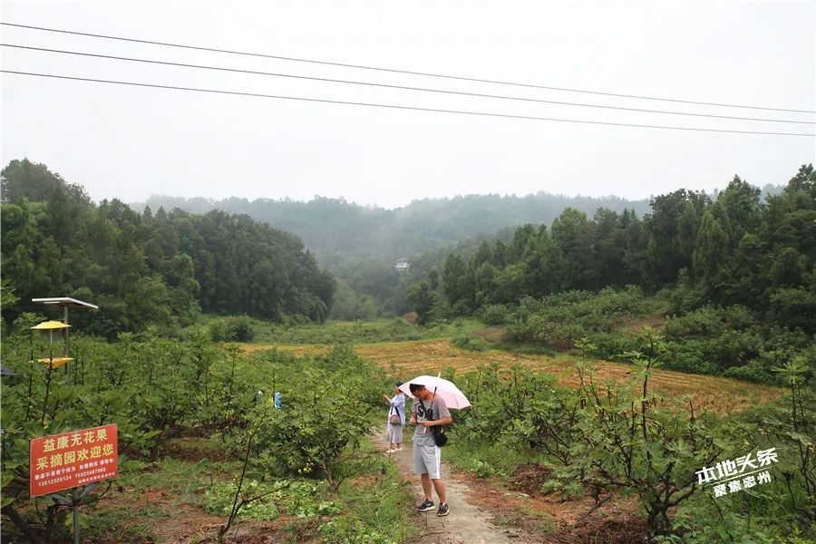 網友e家親近400名忠縣網友齊聚馬灌鎮只為這件事