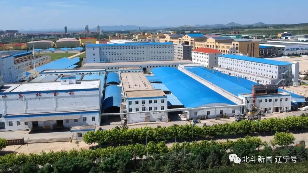 小东北食品有限公司就是阜新本地成长起来的国家级农业产业化龙头企业