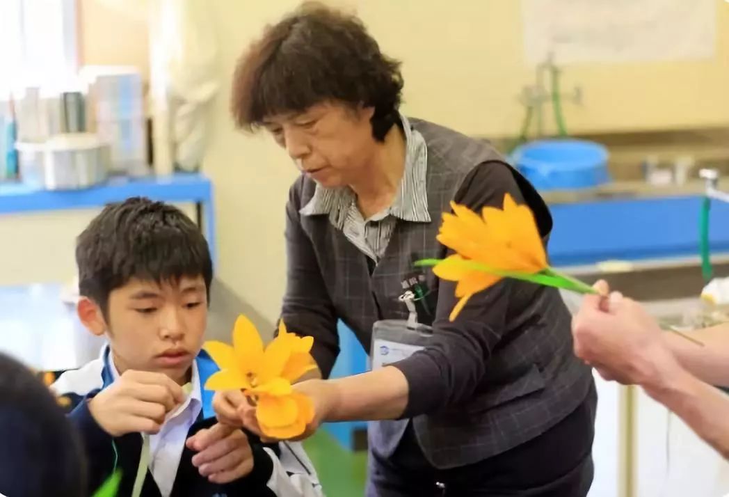 仪式感强烈的日本却没有教师节在日本当老师是种怎样的体验