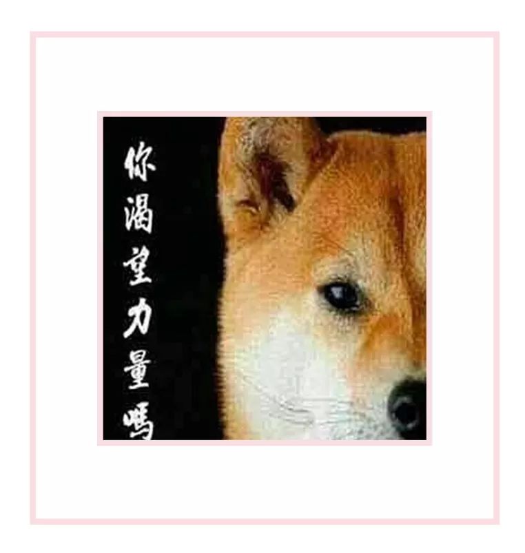 "你渴望力量吗?"我眼神虔诚真挚的点头"养!