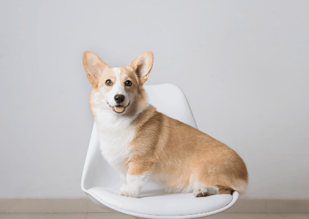 451_320gif 动态图 动图